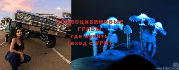 прущая мука Белокуриха