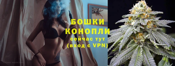 ПСИЛОЦИБИНОВЫЕ ГРИБЫ Россошь